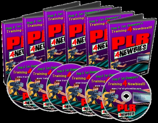 Product picture PLR for Newbies - Video Series